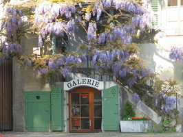 2006 05-Geneva Store in Nyon